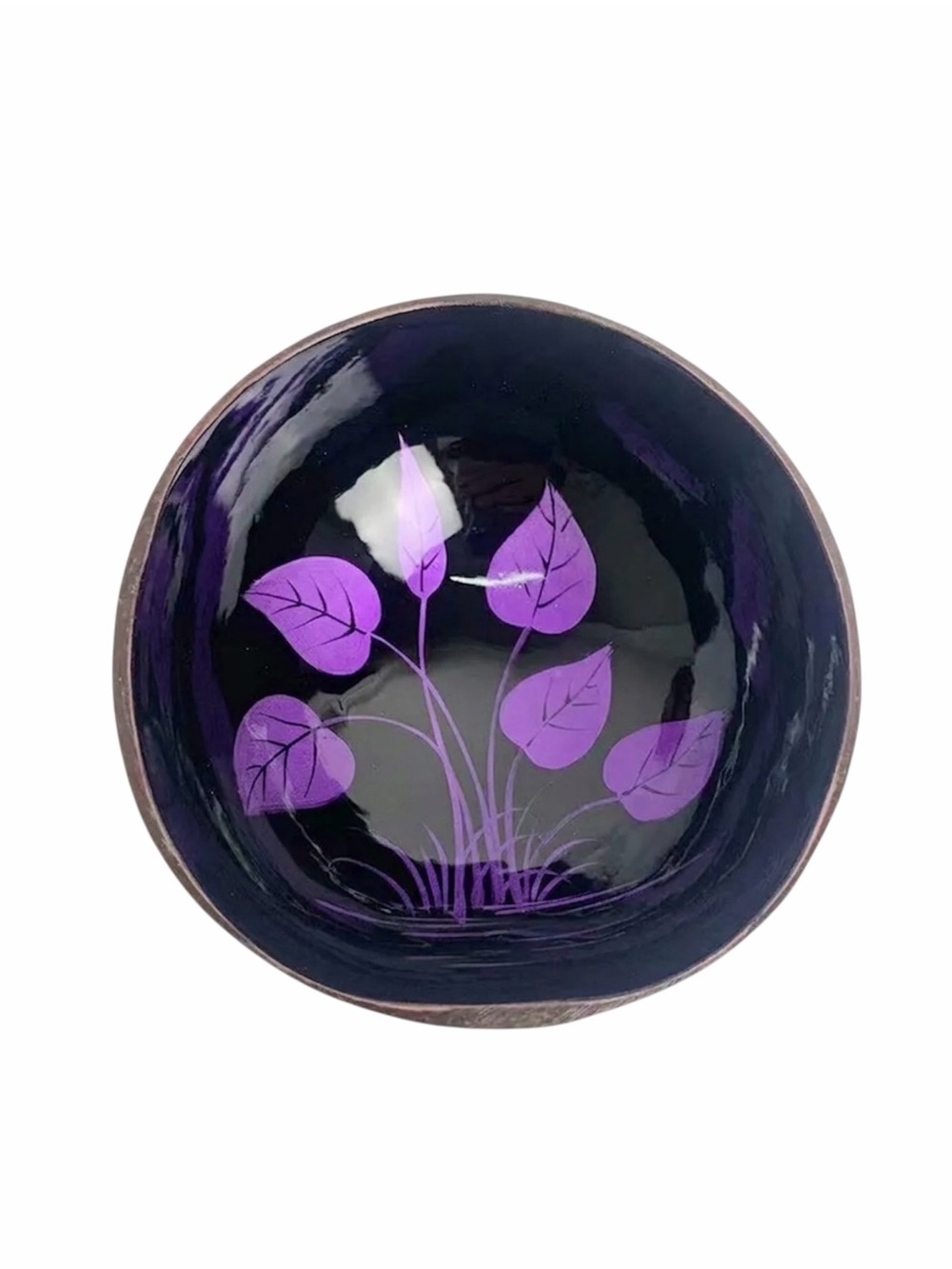 Hand-Painted Coconut Bowl NIP PICK ONE
